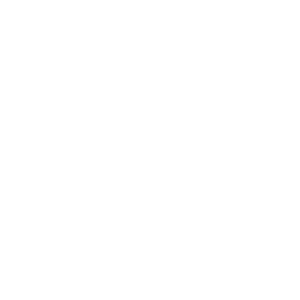 Presentation 2 — Construction & Development